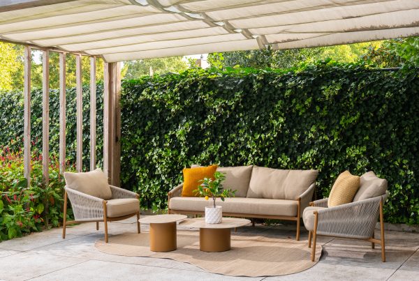 Ein moderner Freisitz unter einer Pergola mit Gartenmöbeln aus der Serie Milos von 4SO: ein bernsteinfarbenes Living-Sofa und zwei Sessel, ein runder Teppich, zwei niedrige Sofie Tische und Deko-Kissen. Üppig grüner Efeu bedeckt den Zaun mit Pflanzen an den Seiten.